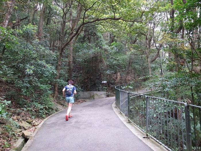 2014.2.28-3.3 香港trip+trail day4 ~モーニングトレイル~_b0219778_2333228.jpg