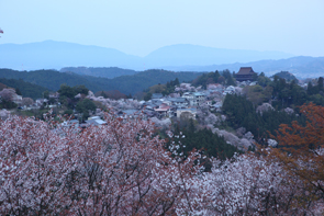 かけ足で写真におさめてきました。_a0202287_22234019.jpg