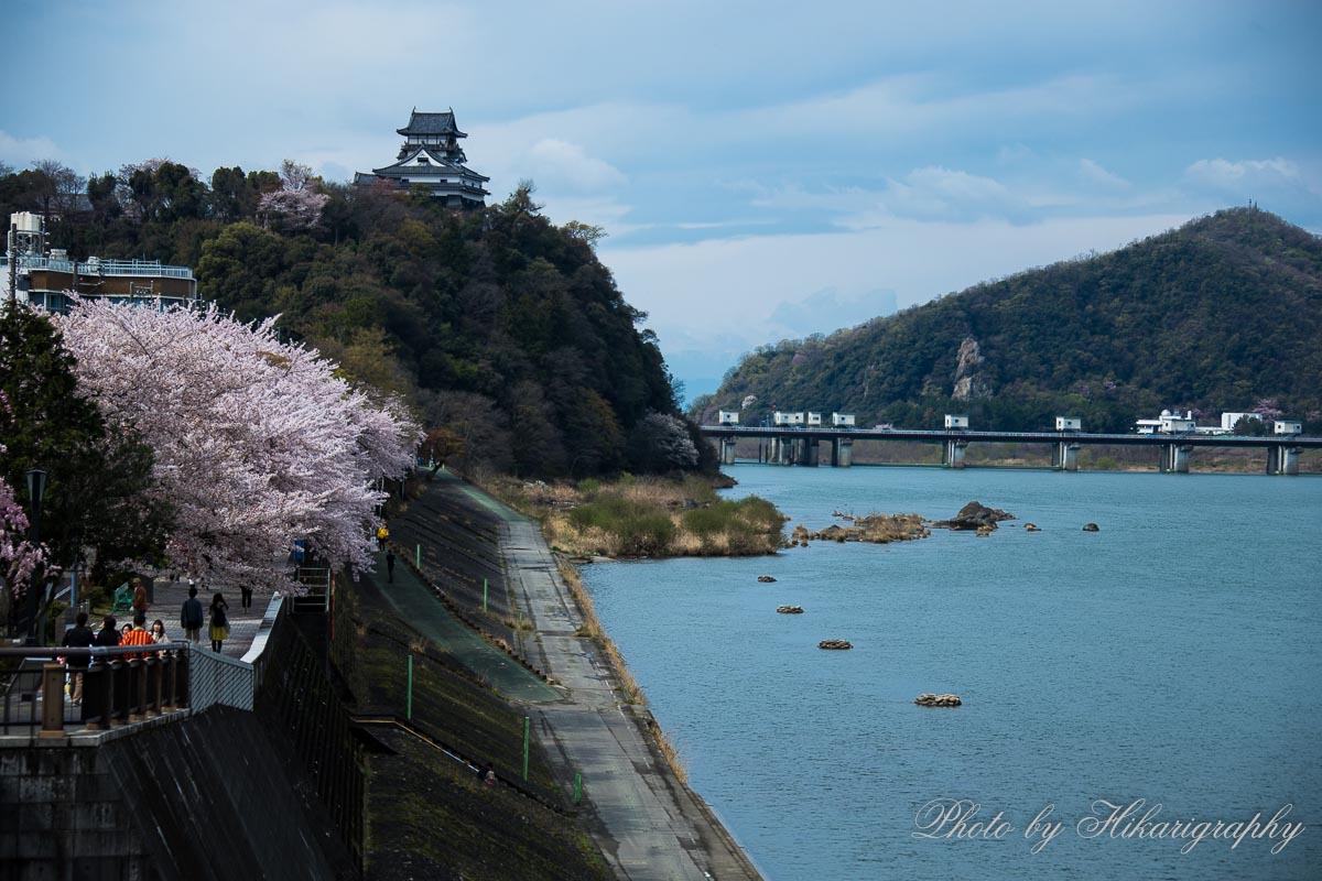 犬山城の桜_c0298391_16543678.jpg