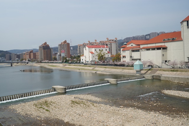 d0181492_20591219.jpg