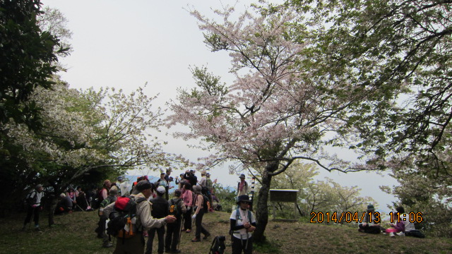 4/13（日）　沼津アルプス（香貫山～鷲頭山往復）　　桜が満開の登山でした_c0133096_21164246.jpg