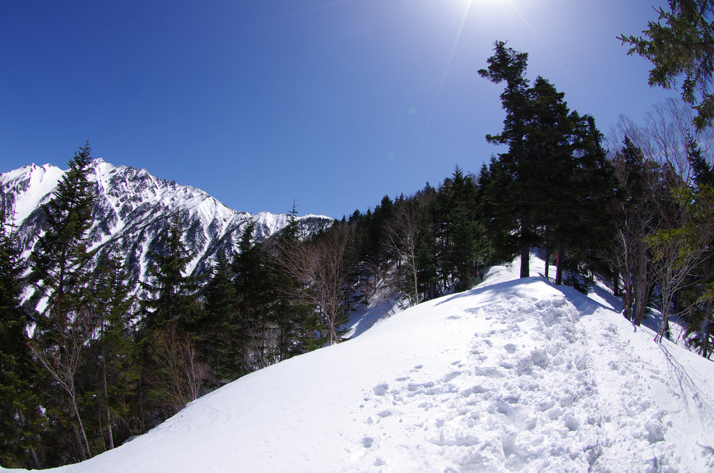 a0158802_2319438.jpg