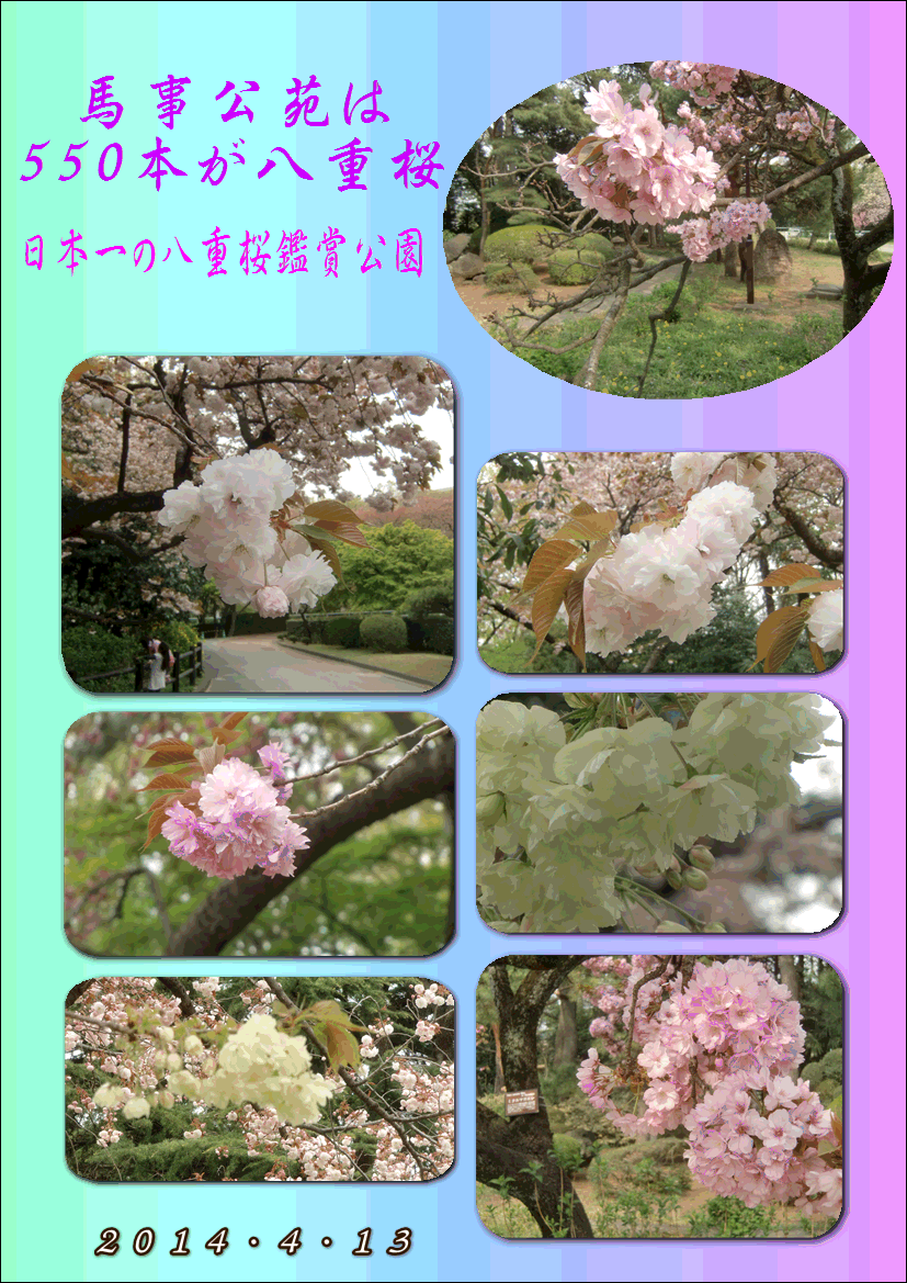 f0231709_14592777.gif