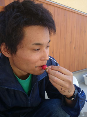 a0154110_1627576.jpg