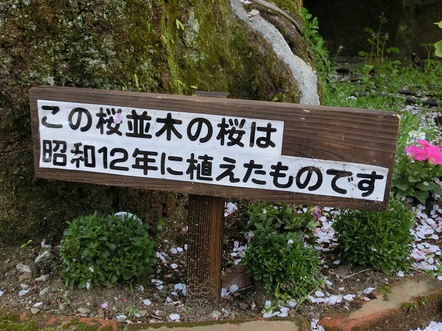 サクラが満開の御殿場「時之栖」で静岡県防衛協会の東部支部総会_f0141310_7155312.jpg