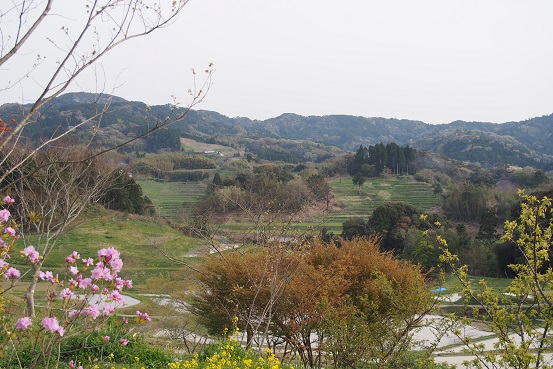 a0213011_11192861.jpg