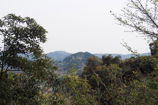 a0213011_1184669.jpg