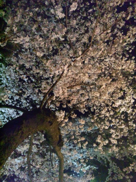 b0150911_9471282.jpg