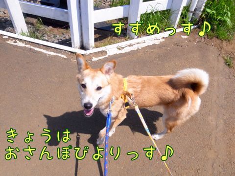 f0329311_045687.jpg