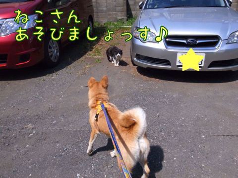 f0329311_04586.jpg