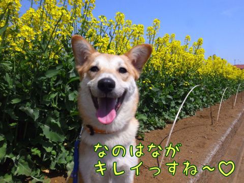 f0329311_045996.jpg