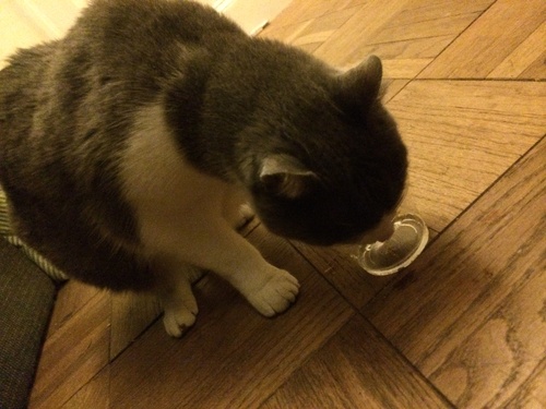 サンフランシスコ観光へ。_c0116714_16385427.jpg