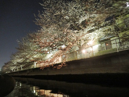 お江戸日本橋舟めぐり_f0327416_942738.jpg