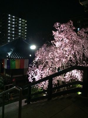 c0229920_21125773.jpg