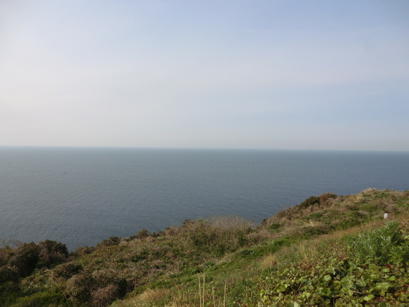 b0163121_2148373.jpg