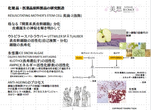 &#127800;介護の仕事で、_c0317723_00184158.jpg