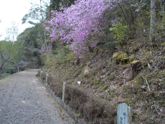 f0111128_23302433.jpg