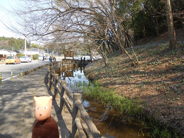 くれふしの里　古墳公園（これが巨大はに丸だっ！）　＆　かたくりの里（花満開です）_b0219835_1835776.jpg