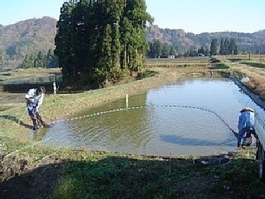 f0214235_4361542.jpg