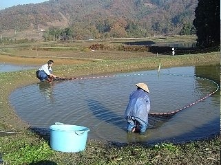 f0214235_43683.jpg