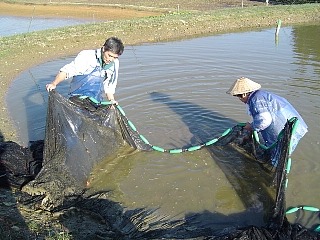 f0214235_4391045.jpg