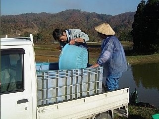 f0214235_4405511.jpg