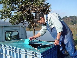 f0214235_4415590.jpg