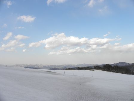 早坂高原「雪の回廊!?」_b0206037_18353997.jpg