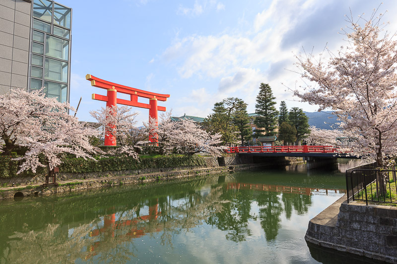 蹴上インクラインと岡崎疎水の桜_b0325840_23192052.jpg