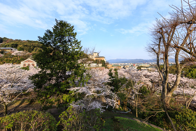 蹴上インクラインと岡崎疎水の桜_b0325840_23201200.jpg