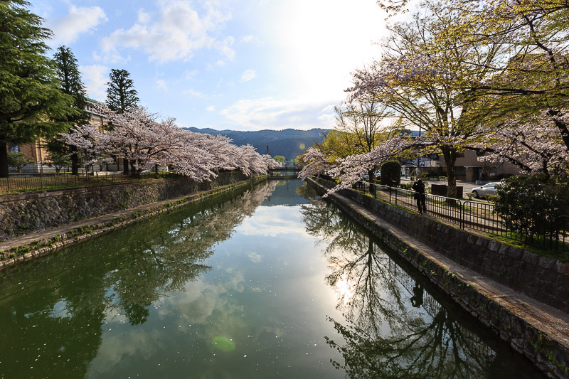 蹴上インクラインと岡崎疎水の桜_b0325840_23234821.jpg