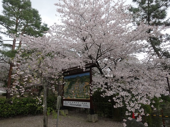b0299042_20424942.jpg