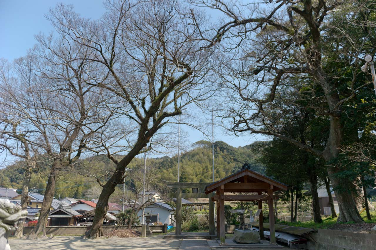 飯石神社　福岡県福岡市西区飯氏_b0023047_04335549.jpg