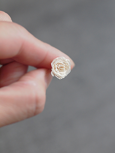 miniature Rose*_e0172847_16243273.jpg