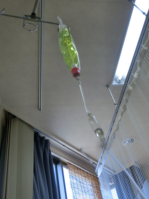 e0291149_2143741.jpg