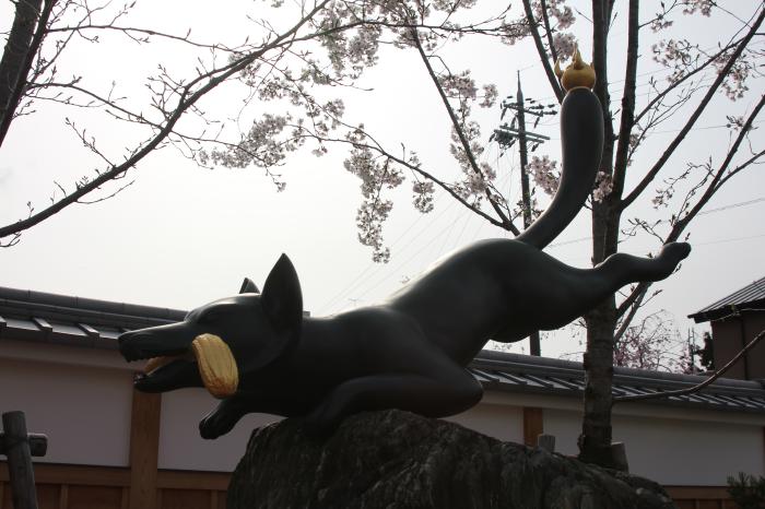 2014桜紀行_京都 伏見稲荷 龍安寺 金閣寺 西本願寺 清水寺_d0018656_2102865.jpg