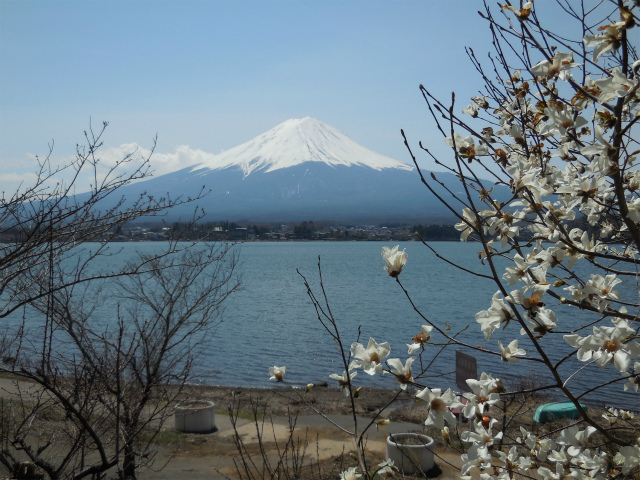 b0070657_16265656.jpg