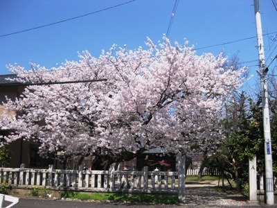 c0190960_6502836.jpg