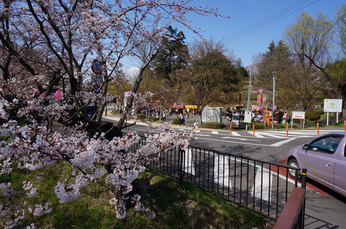 下の川の桜並木、花見を楽しむ人で賑わっています_f0226571_10574966.jpg