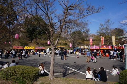 下の川の桜並木、花見を楽しむ人で賑わっています_f0226571_110971.jpg