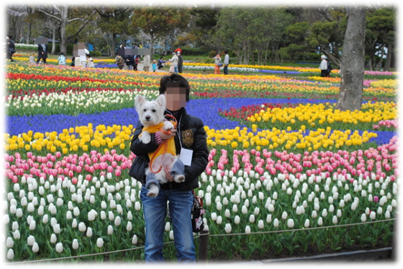 b0242873_01233626.png