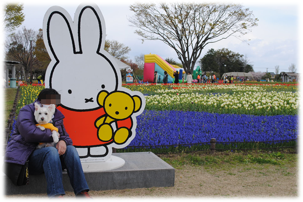 b0242873_01385722.png