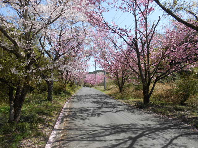 土曜と日曜は・・・_b0144174_2161244.jpg