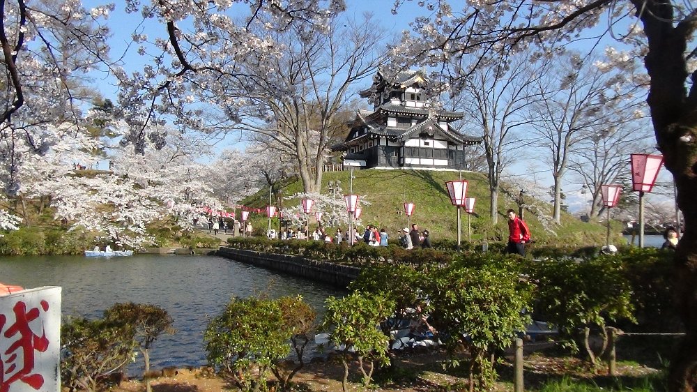 高田城址公園の桜ー動画!_e0065084_2114855.jpg