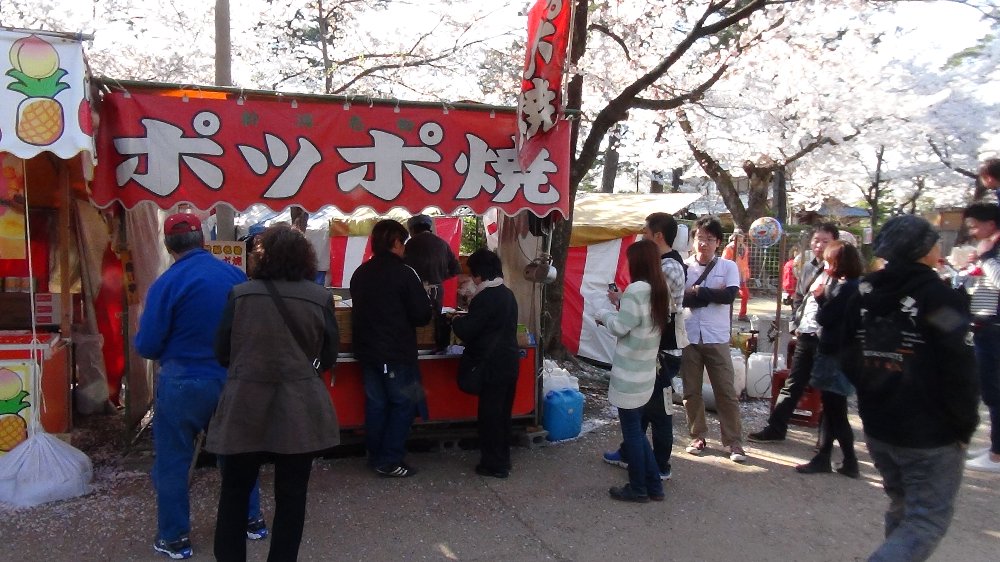 高田城址公園の桜ー動画!_e0065084_2122326.jpg