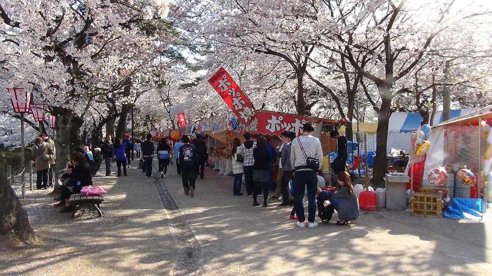 高田城址公園の桜ー動画!_e0065084_212986.jpg