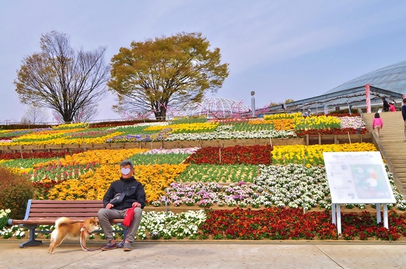 桃色の里 The land of peach trees._a0126590_013656.jpg