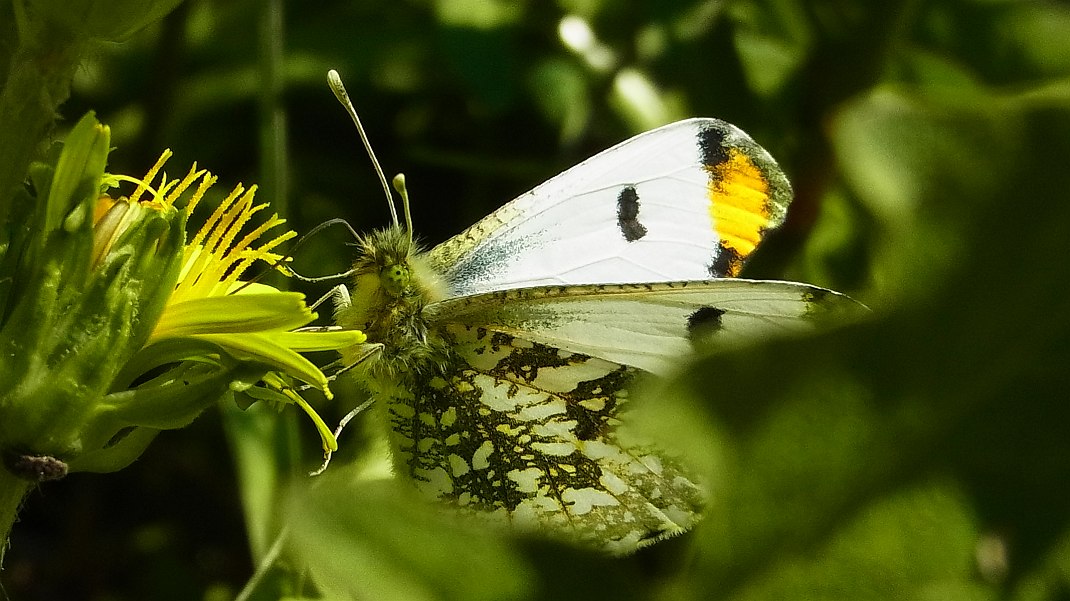 a0152692_182414.jpg