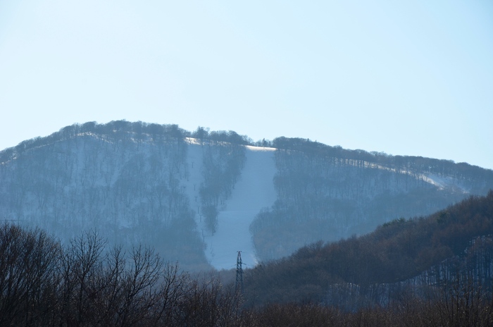 春_d0077992_839579.jpg