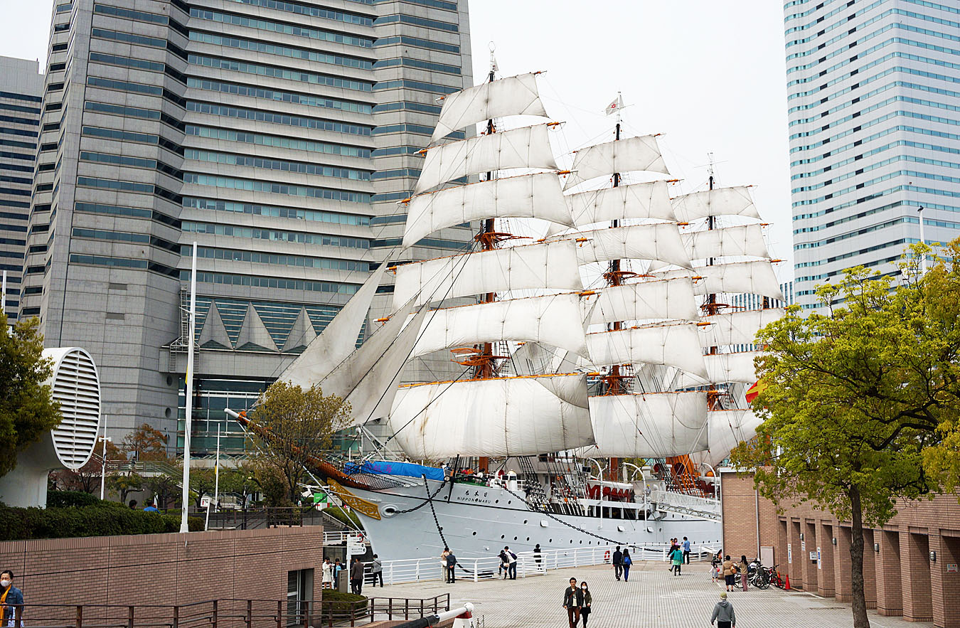 春爛漫♪横浜公園のチューリップ_c0025895_5562365.jpg